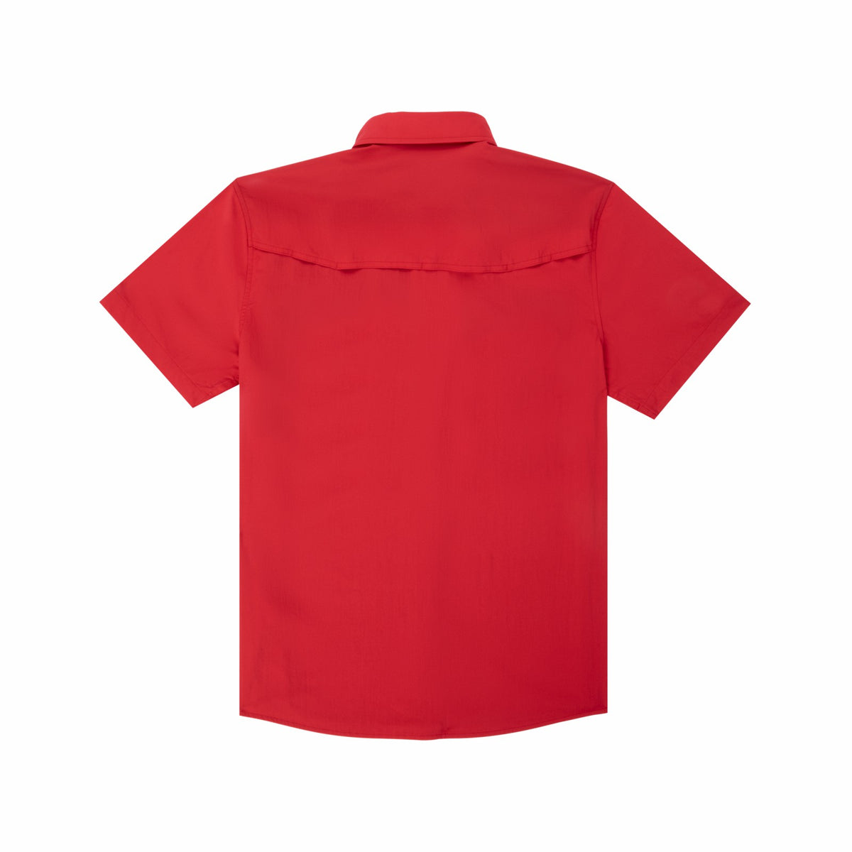 The Lubbock