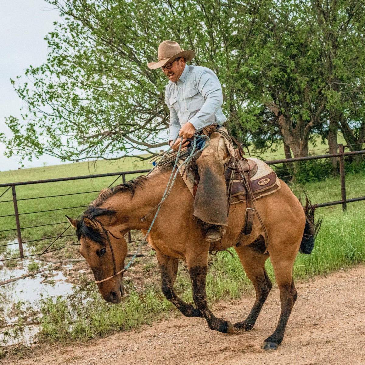 The San Saba