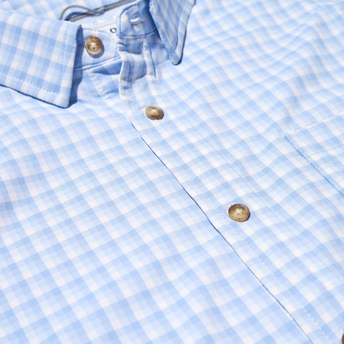 The Kingfish