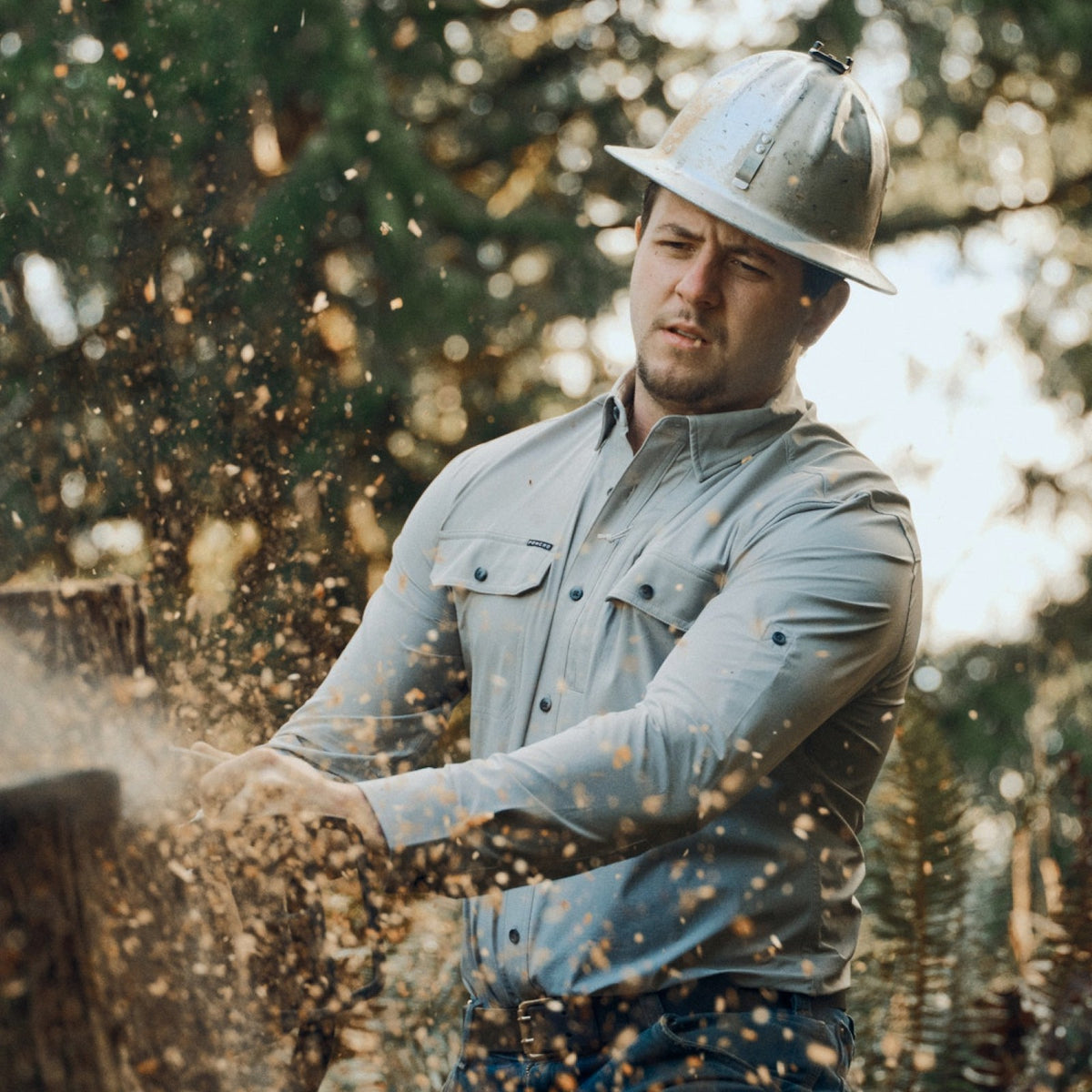 The Logger