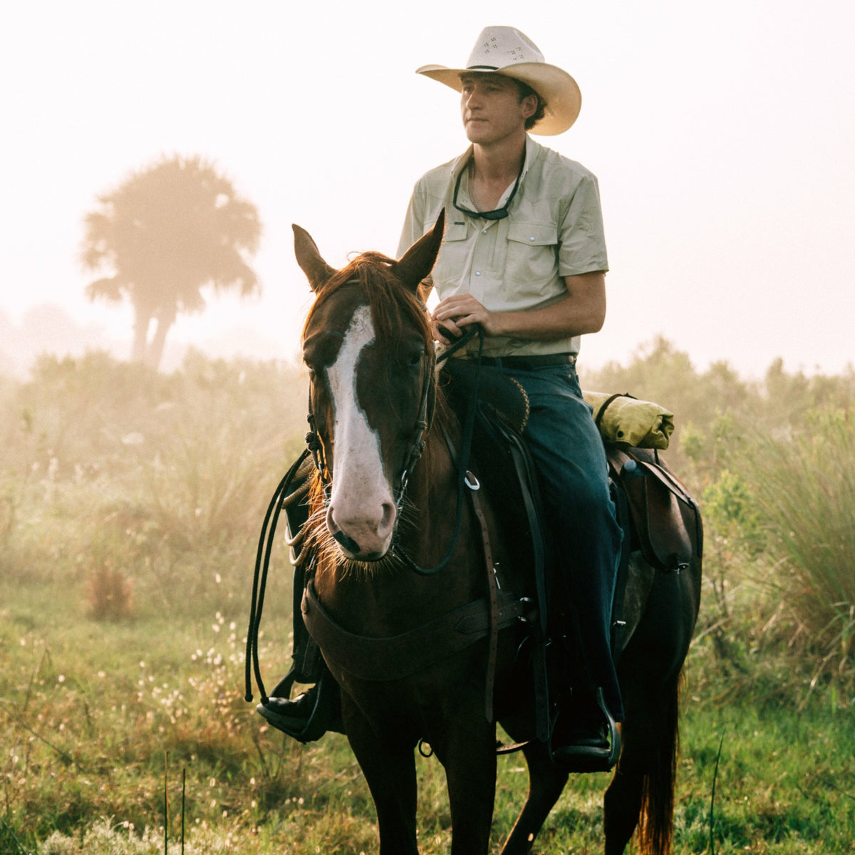 The Buckskin